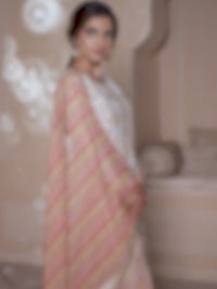 Cream Tissue Silk Meena Jacquard Designer Panel Work Kurta Suit Set